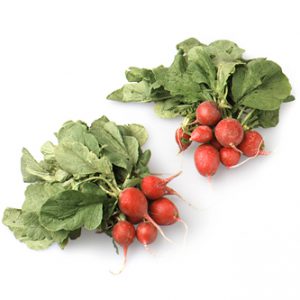 Fresh Cooperative Organic Red Radishes