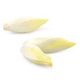 Belgian Endive