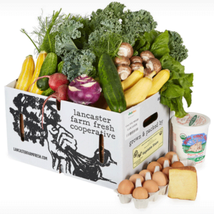 Légumes locaux à partager avec des œufs, des champignons, du fromage et du yaourt