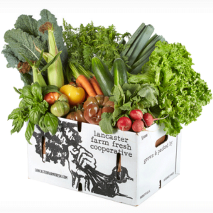 Ferme maraîchère biologique locale