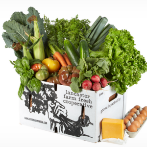 Local Organic Vegetable Farm Share with Eggs and Cheese