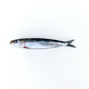 Sardine 1kg