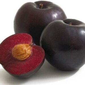 Red / black Plum 1kg