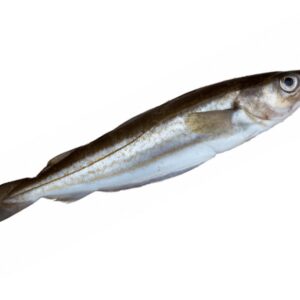 Whiting 1kg