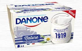 Whole wheat and oat yogurt 8x110g - DANONE