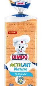 Pain de mie actilait format standard 400g