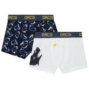 Pack of 2 shark print boxers - Orchestra