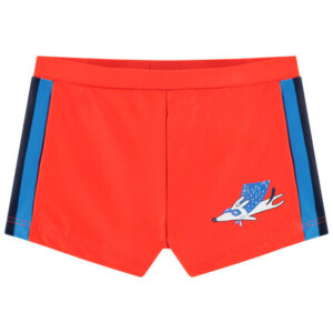 Swim trunks with contrasting bands and dog print - Orchestra