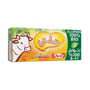 Beef flavored broth with spices 100% organic 8 cubes Damti 76g - IDEAL
