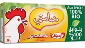Bouillon chicken flavor with spices 100% organic 8 cubes Damti 76g - IDEAL
