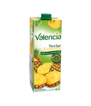 Valencia pineapple 1L